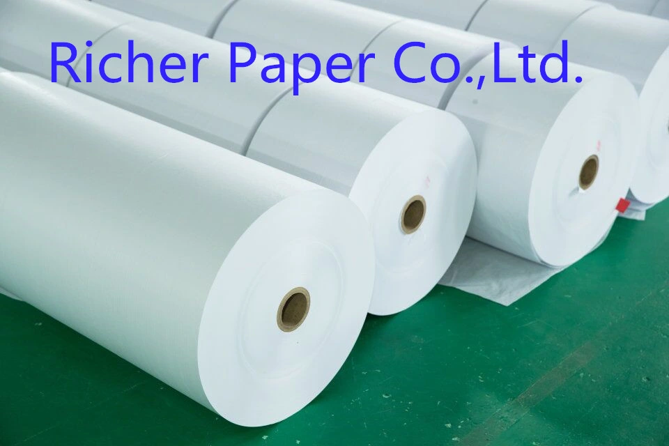 Food Grade PE Coated Kraft Paper in Rolls